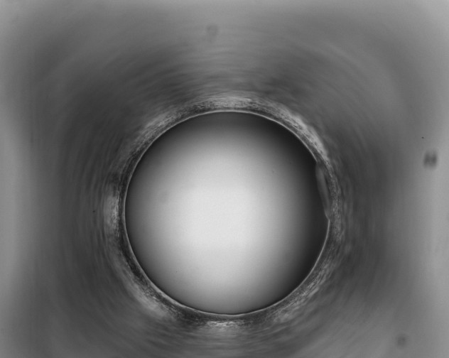 X0000099320057200805091051