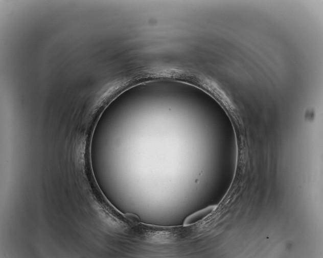 X0000099320058200805091051