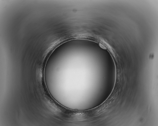 X0000099320059200805091051