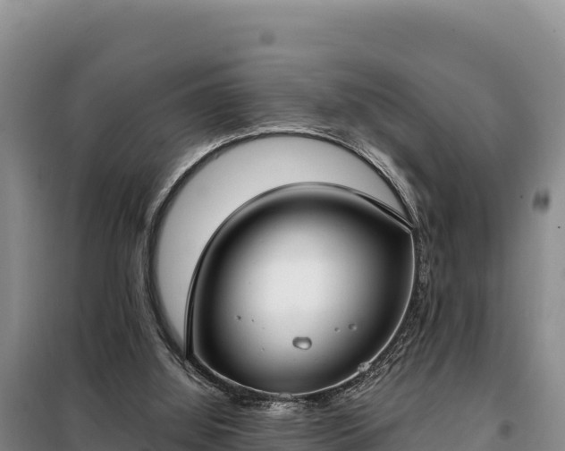 X0000099320060200805091051