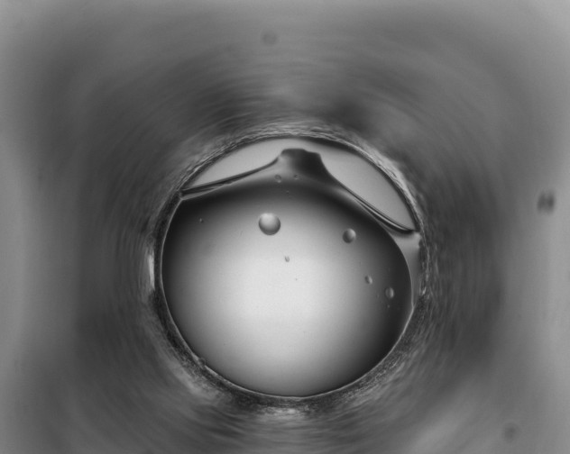 X0000099320061200805091051