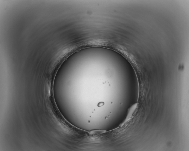 X0000099320062200805091051