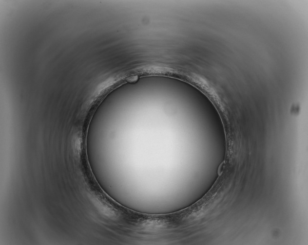 X0000099320063200805091051