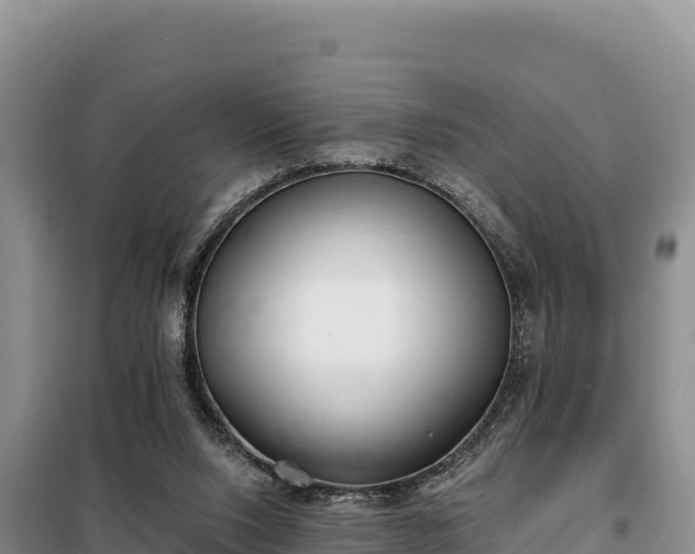 X0000099320064200805091051