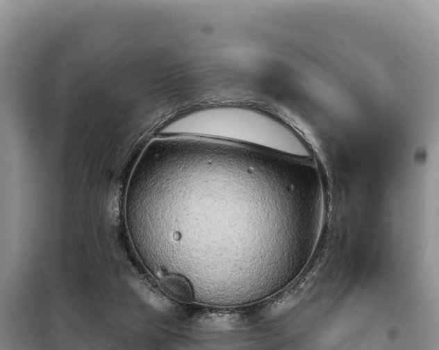 X0000099320065200805091051