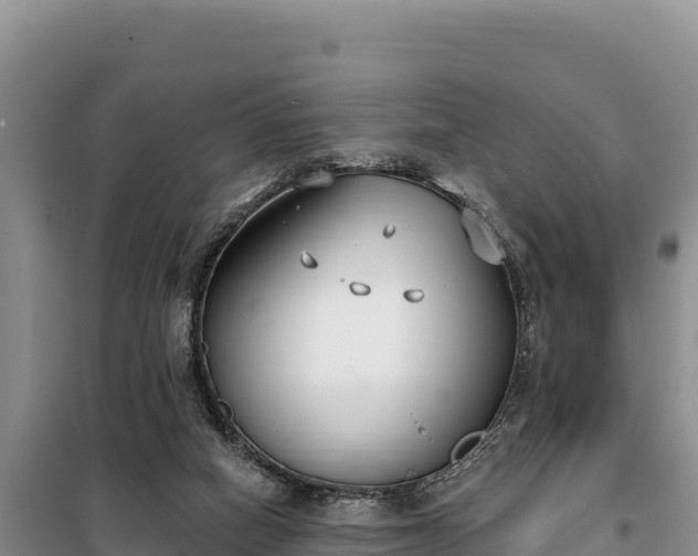 X0000099320066200805091051