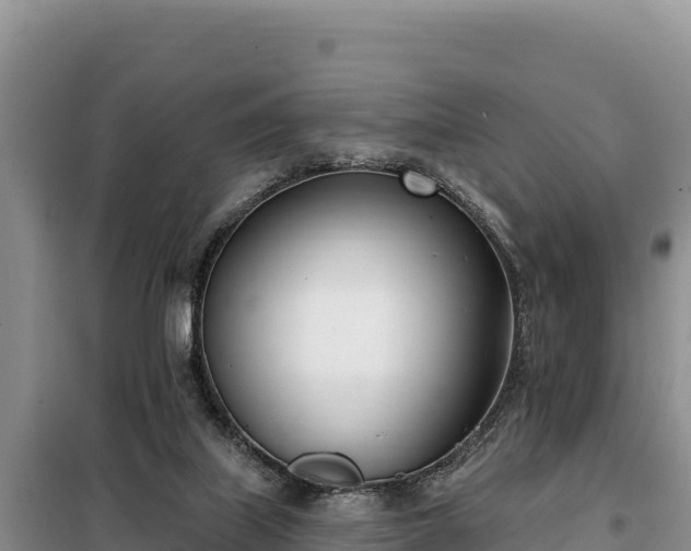 X0000099320067200805091051