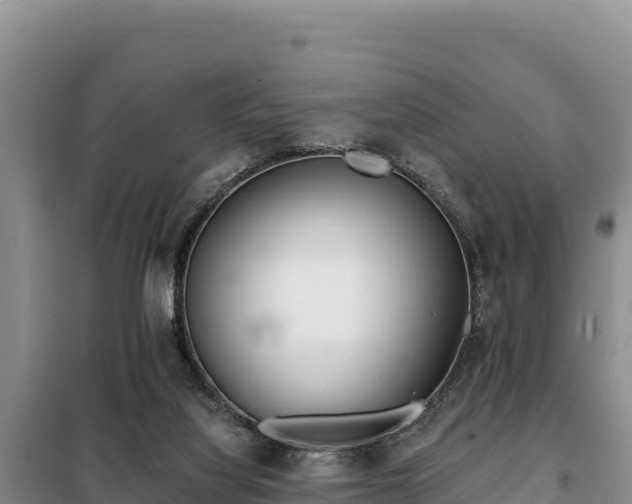 X0000099320068200805091051