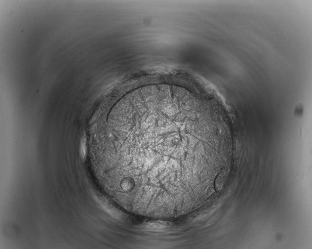 X0000099320069200805091051