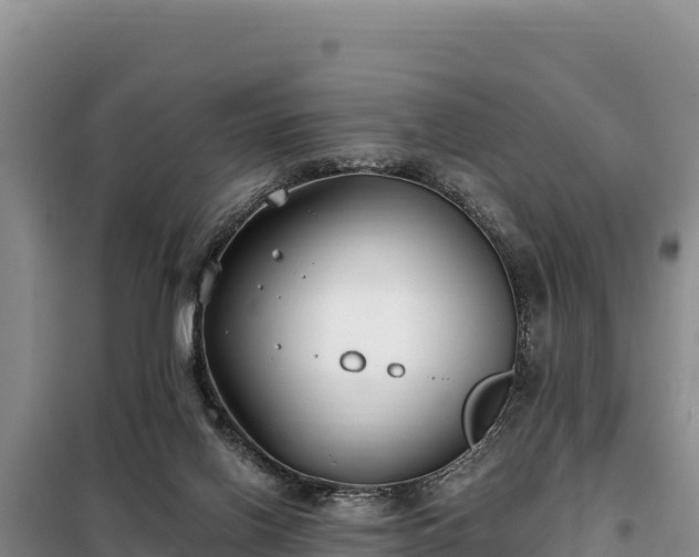 X0000099320070200805091051