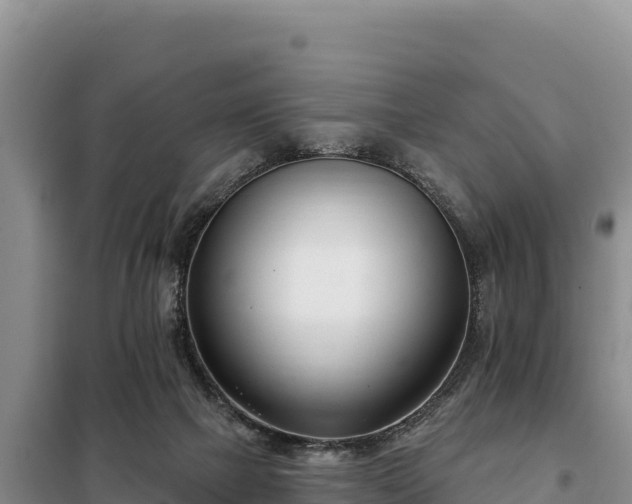 X0000099320073200805091051