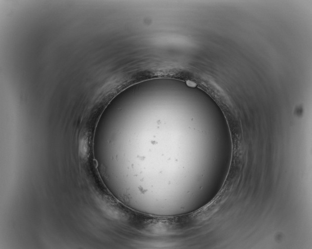 X0000099320074200805091051