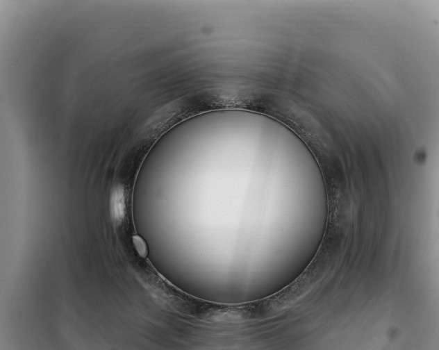 X0000099320075200805091051