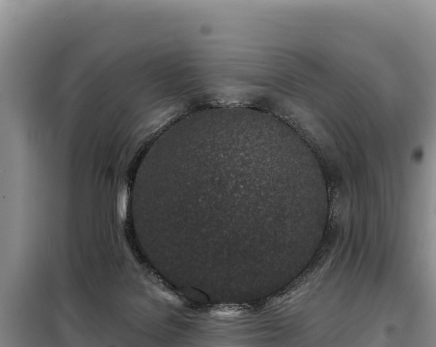 X0000099320076200805091051