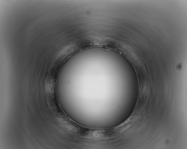 X0000099320078200805091051