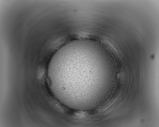 X0000099320079200805091051