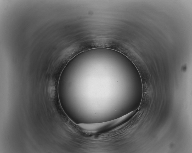 X0000099320080200805091051