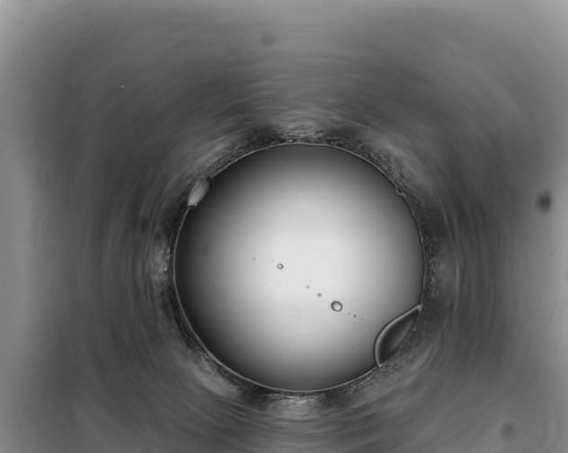 X0000099320081200805091051