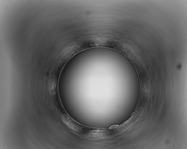 X0000099320082200805091051