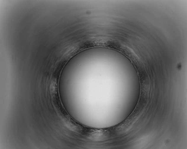 X0000099320083200805091051