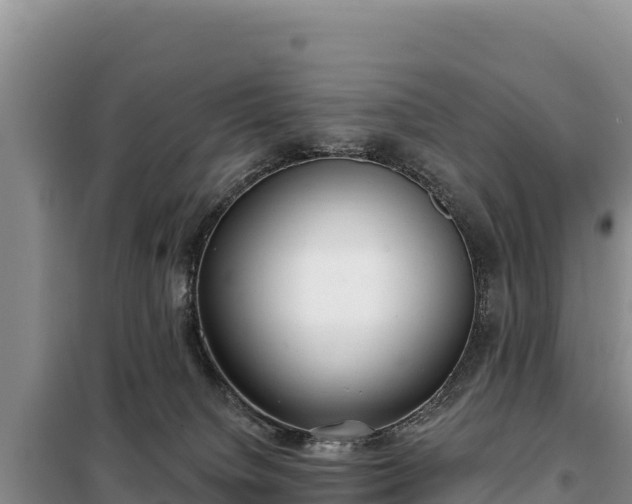 X0000099320084200805091051