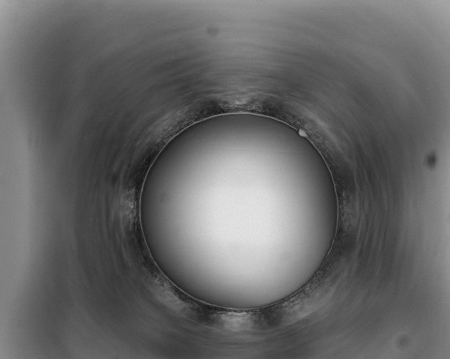 X0000099320085200805091051