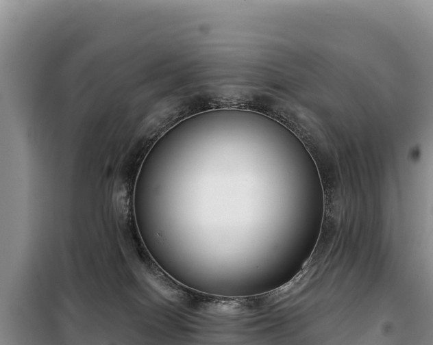 X0000099320086200805091051