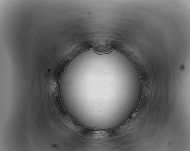 X0000099320087200805091051