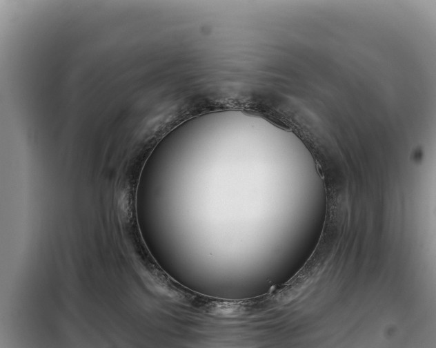 X0000099320088200805091051