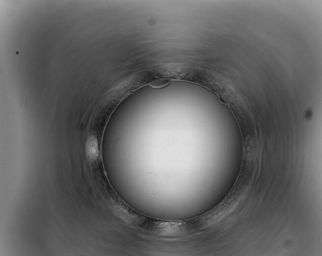 X0000099320089200805091051