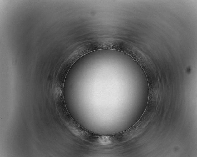 X0000099320091200805091051