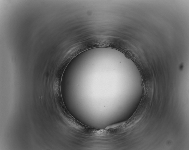 X0000099320092200805091051