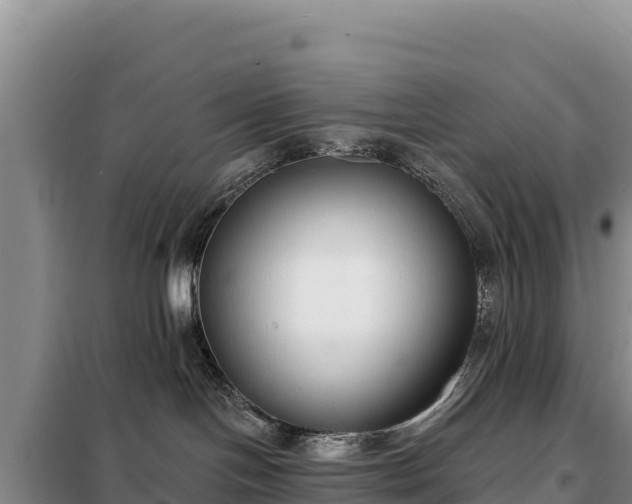 X0000099320094200805091051