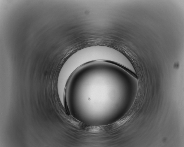 X0000099320096200805091051