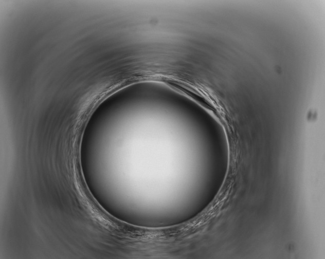 X0000099320097200805091051