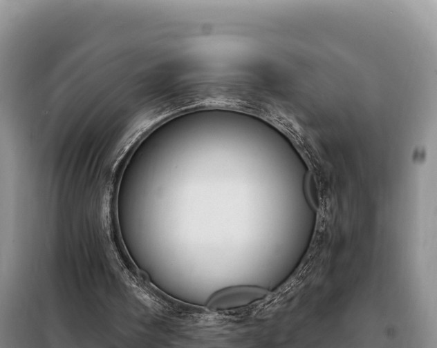 X0000099320098200805091051