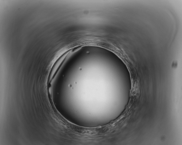 X0000099320099200805091051