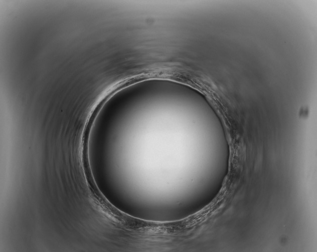 X0000099320100200805091050