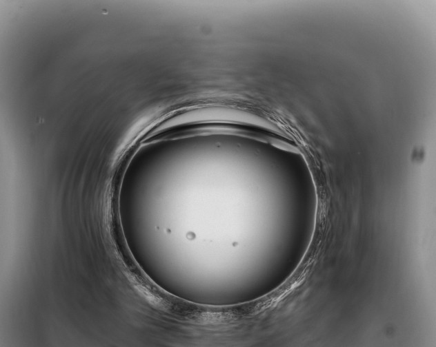 X0000099320101200805091050