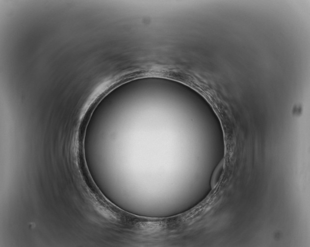 X0000099320102200805091050