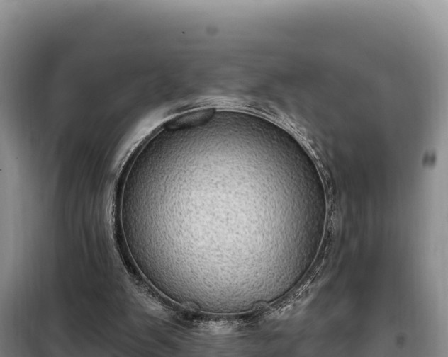 X0000099320103200805091050