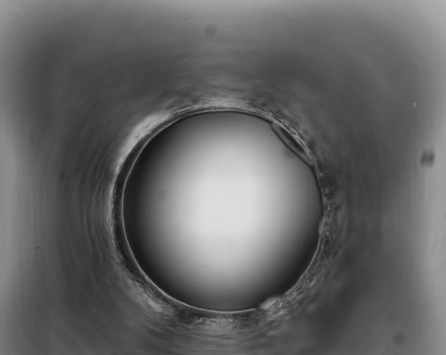 X0000099320104200805091050