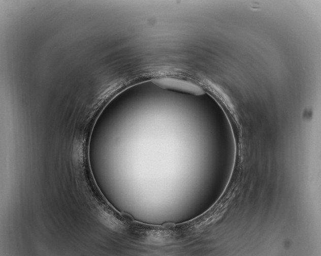 X0000099320105200805091050