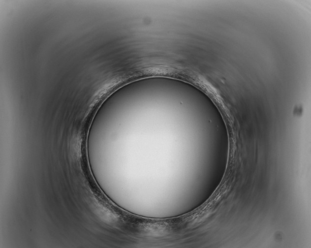 X0000099320106200805091050