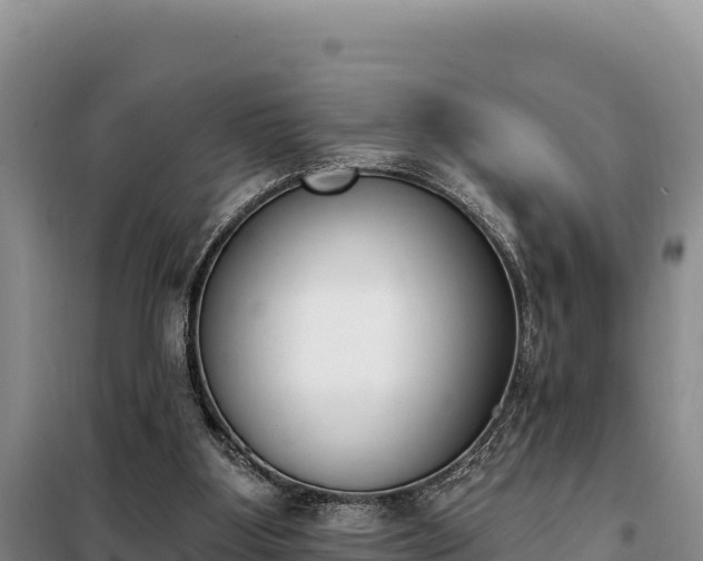 X0000099320107200805091050