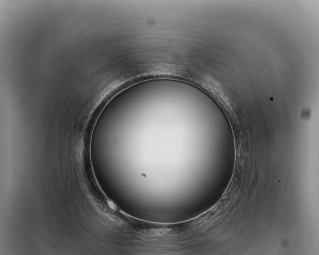 X0000099320108200805091050