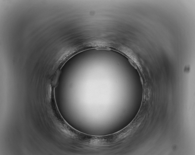 X0000099320109200805091050