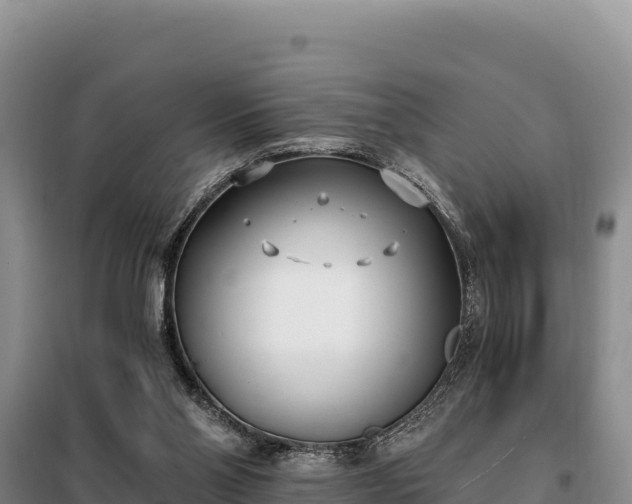 X0000099320110200805091050