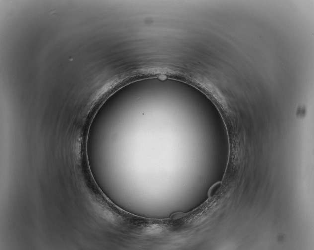 X0000099320111200805091050