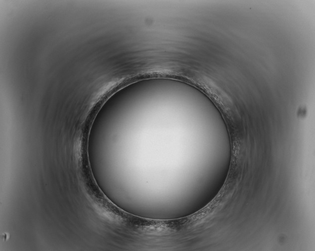 X0000099320112200805091050